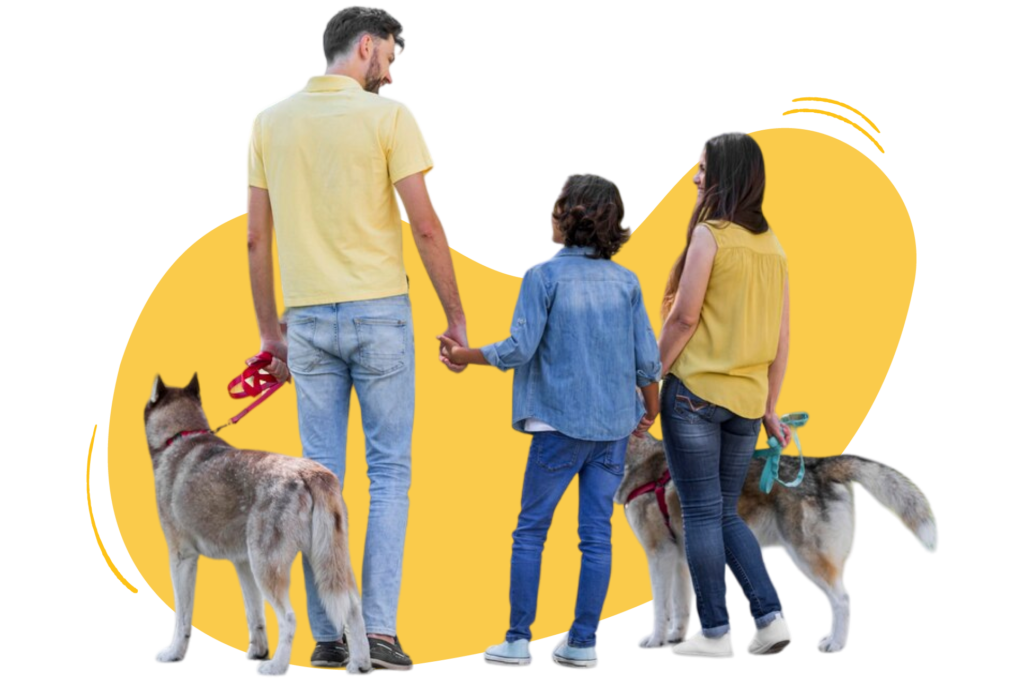 Mascotas